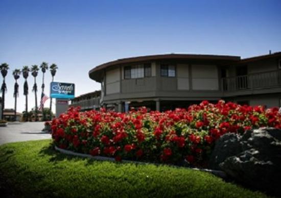 Links to Sands By The Sea