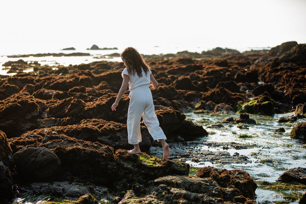 Tide Pools and Sea Life Visit San Simeon