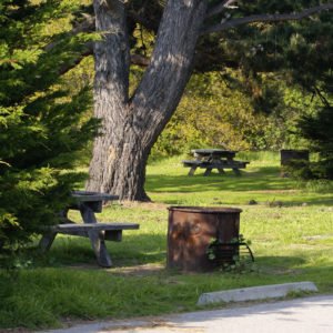San Simeon Campground San Simeon Creek and State Park Campground