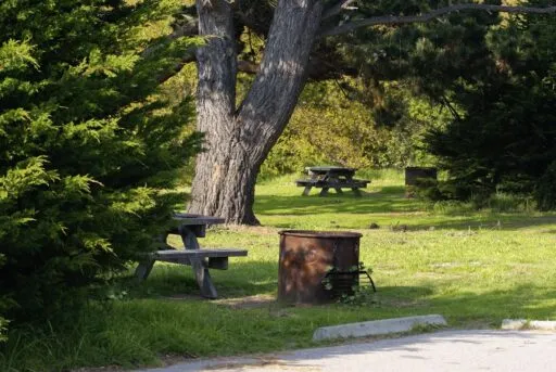 San Simeon Creek and State Park Campground