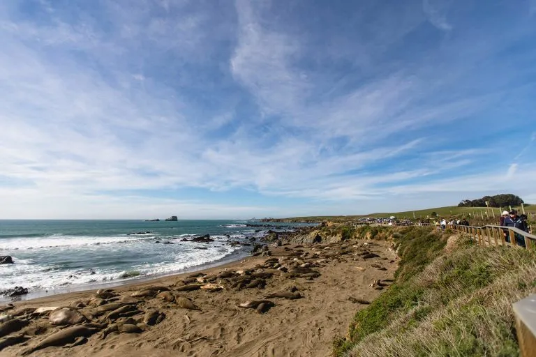 This California town is surrounded by wineries, natural hot springs, and secret beaches (and you can escape the crowds in fall)