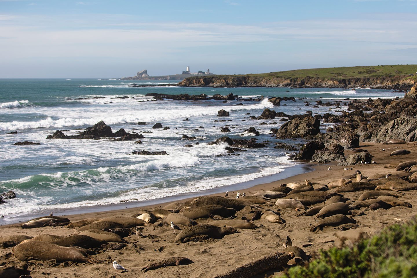 Monterey Bay National Marine Sanctuary - Visit San Simeon