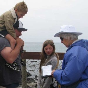 Polly Tatton, Elephant Seal Docent