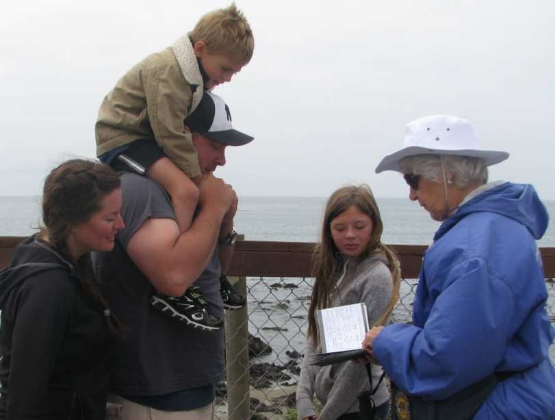 Polly Tatton, Elephant Seal Docent