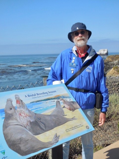 Rusty Moore, Elephant Seal Volunteer, San Simeon, CA