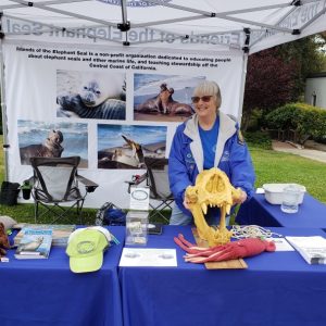Lynette Harrison, Friends of the Elephant Seal Volunteer Docent