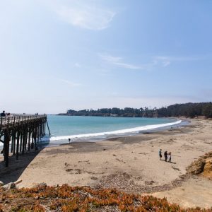 Hearst State Beach, San Simeon Cove