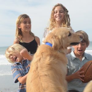 Dog-friendly beach in San Simeon, CA Dog-friendly beach in San Simeon, CA