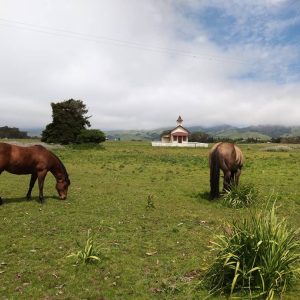 Old San Simeon – Kiana Cooper Old San Simeon