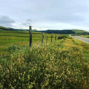 HWY1 – Kiana Cooper