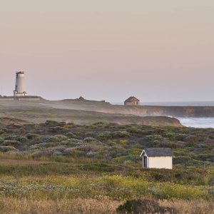 PiedrasBlancas – Kiana Cooper Piedras Blancas Light Station in San Simeon, CA