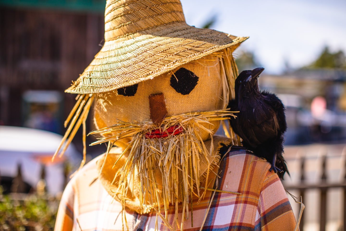 scarecrow-optimized - Visit San Simeon