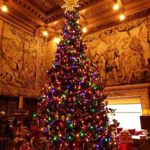 The Christmas Tree at Hearst Castle. Elephant seal scarecrow in San Simeon, CA