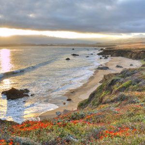 Coastline – Kiana Cooper coastline Kiana Cooper