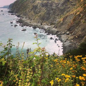 bigsur Lauren Ralston bigsur - Lauren Ralston