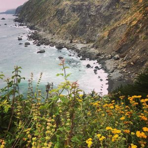 bigsur – Lauren Ralston bigsur - Lauren Ralston