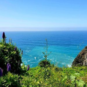 ocean Lauren Ralston ocean Lauren Ralston
