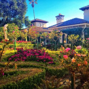 springtime – Lauren Ralston springtime - Lauren Ralston