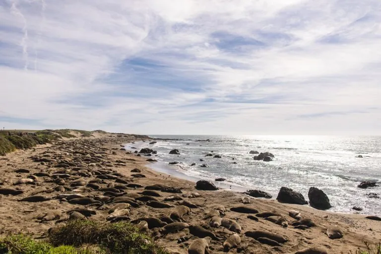 The Best Roadside Attractions on California’s Pacific Coast Highway