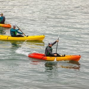 kayak kayak