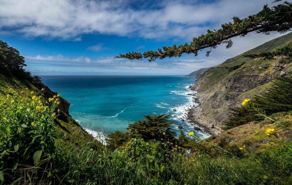 views Visit San Simeon