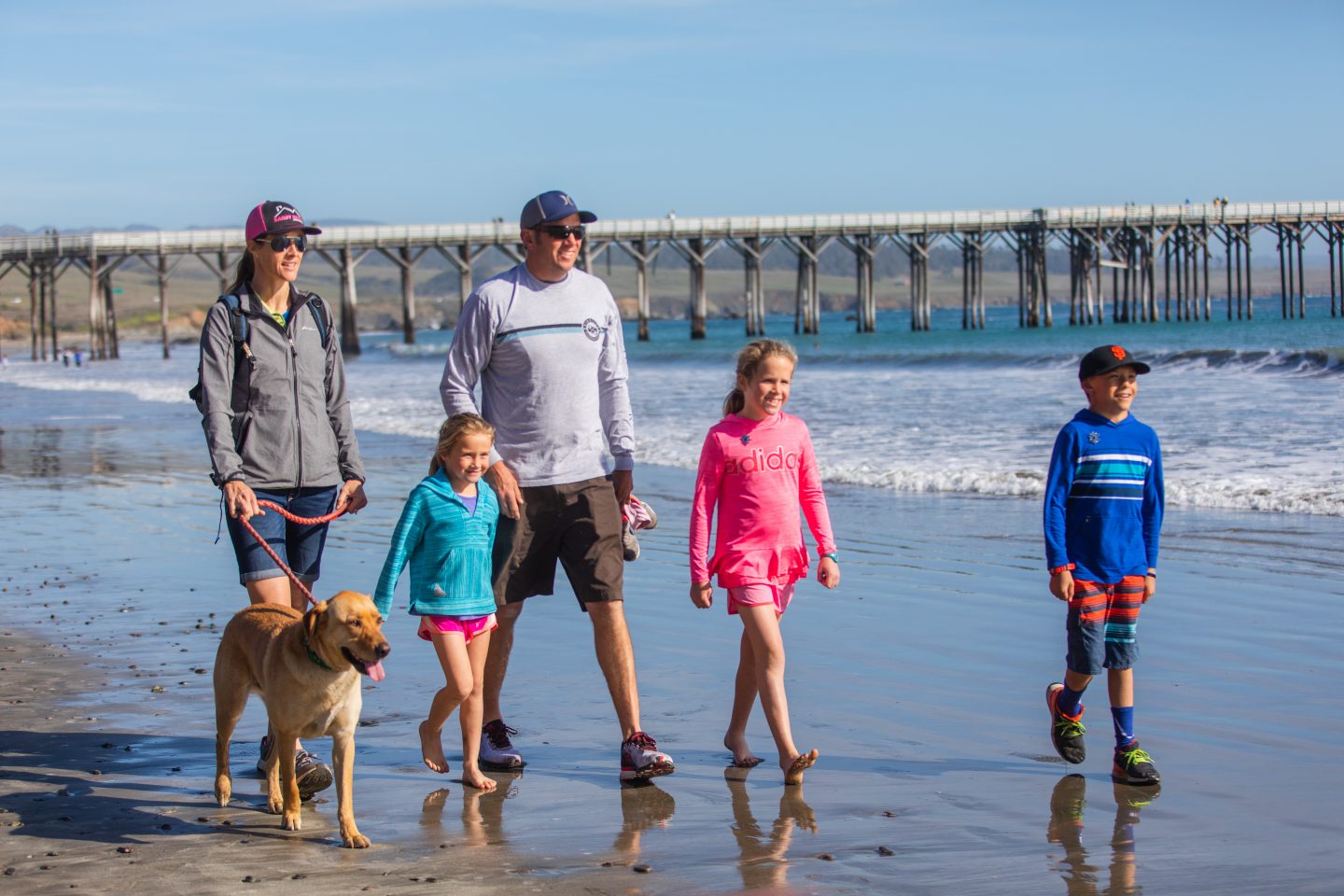 family beach dog - Visit San Simeon