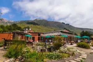 Where to Eat in San Simeon