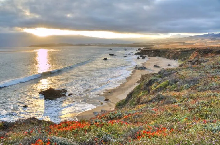 Fodor's California: with the Best Road Trips (The Central Coast)