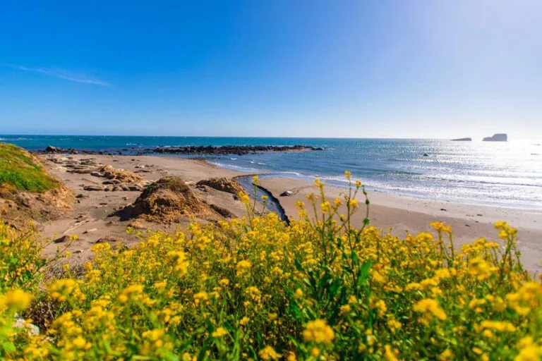 Cycling in Spring in San Simeon