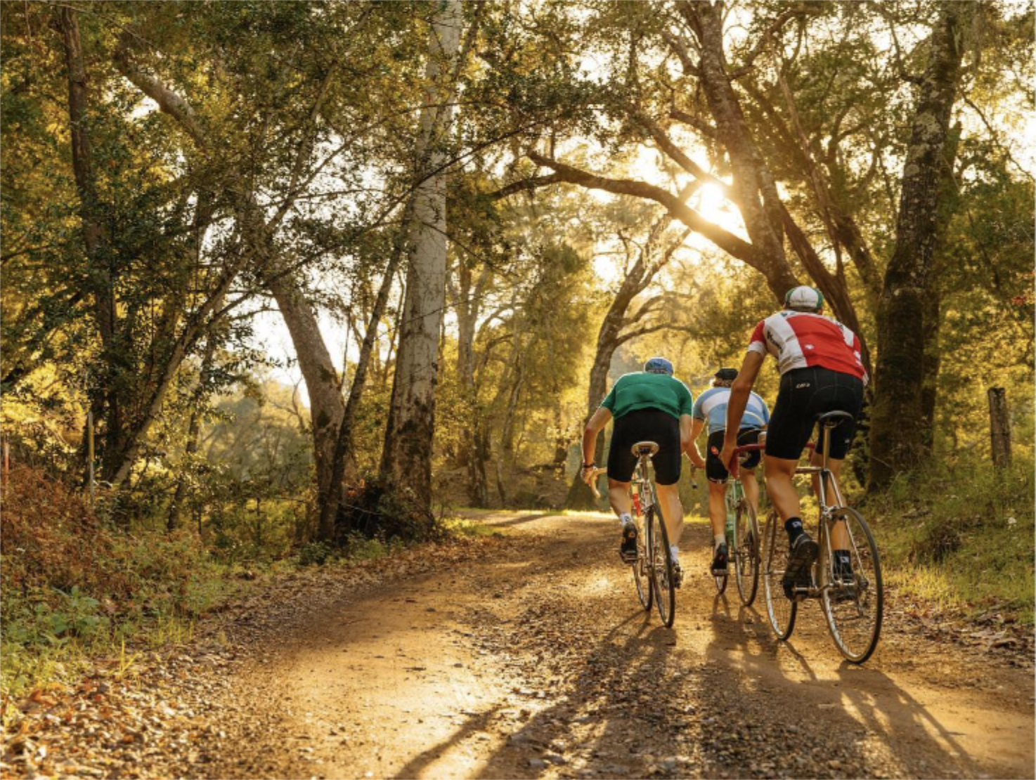 Links to Central Coast Classico